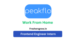 Peakflo hiring frontend developer